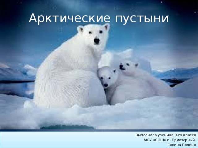 Арктические пустыни Выполнила ученица 8-го класса МОУ «СОШ» п. Приозерный. Савина Полина 