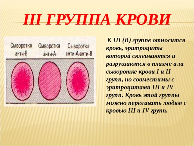 III ГРУППА КРОВИ  К III (В) группе относится кровь, эритроциты которой склеиваются и разрушаются в плазме или сыворотке крови I и II групп, но совместимы с эритроцитами III и IV групп. Кровь этой группы можно переливать людям с кровью III и IV групп. 