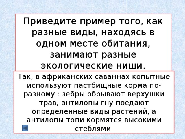 Приведите пример учебной не компьютерной модели