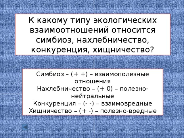 К какому типу относится файл pr1 jpg