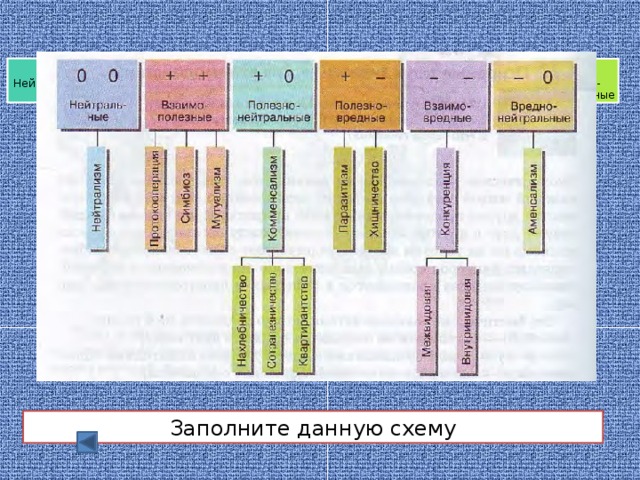 0 0 Нейтральные - 0 + - + + - - + 0 Взаимно-полезные Полезно-нейтральные Полезно-вредные Взаимно-вредные Вредно-нейтральные Заполните данную схему 