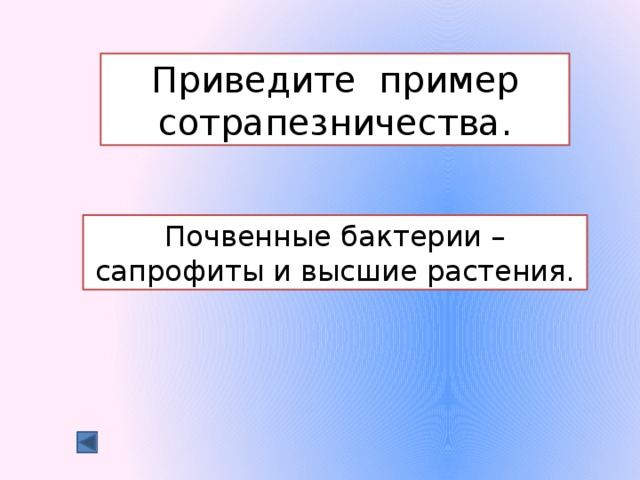 Приведите пример сотрапезничества. Почвенные бактерии – сапрофиты и высшие растения. 