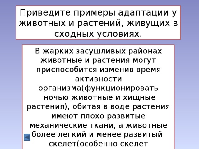 Примеры адаптации