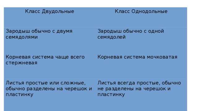 Основные различия классов  покрытосеменных растений Класс Двудольные Класс Однодольные Зародыш обычно с двумя семядолями Зародыш обычно с одной семядолей Корневая система чаще всего стержневая Корневая система мочковатая Листья простые или сложные, обычно разделены на черешок и пластинку Листья всегда простые, обычно не разделены на черешок и пластинку Жилкование листьев обычно перистое или пальчатое Жилкование листьев обычно параллельное или дуговое Число частей цветка чаще всего кратно 5 или 4 Число частей цветка чаще всего кратно 3 Растения обычно имеют камбий Растения не имеют камбия Деревья, кустарники, травы Преимущественно травянистые растения