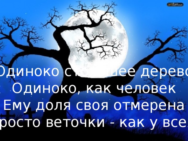 Дерево фраз. Одинокое дерево афоризм. Фразы про одинокое дерево. Про вековые деревья цитата. Цитата одинокое дерево.