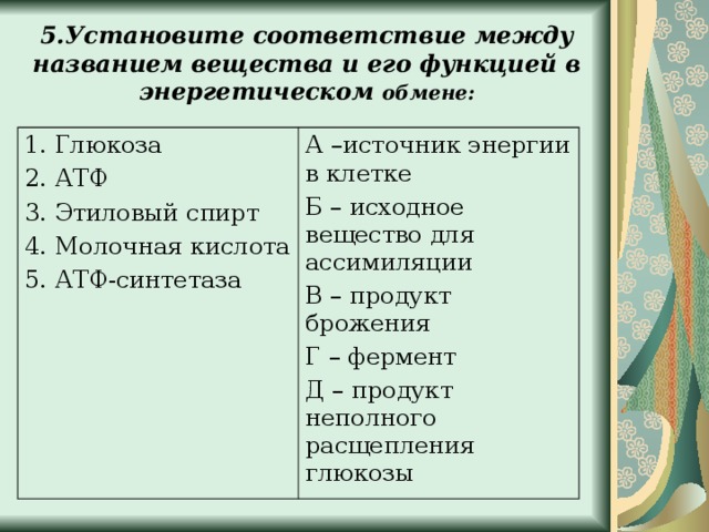 5.Установите соответствие между названием вещества и его функцией в энергетическом обмене: 1. Глюкоза 2. АТФ 3. Этиловый спирт 4. Молочная кислота 5. АТФ-синтетаза А –источник энергии в клетке Б – исходное вещество для ассимиляции В – продукт брожения Г – фермент Д – продукт неполного расщепления глюкозы 