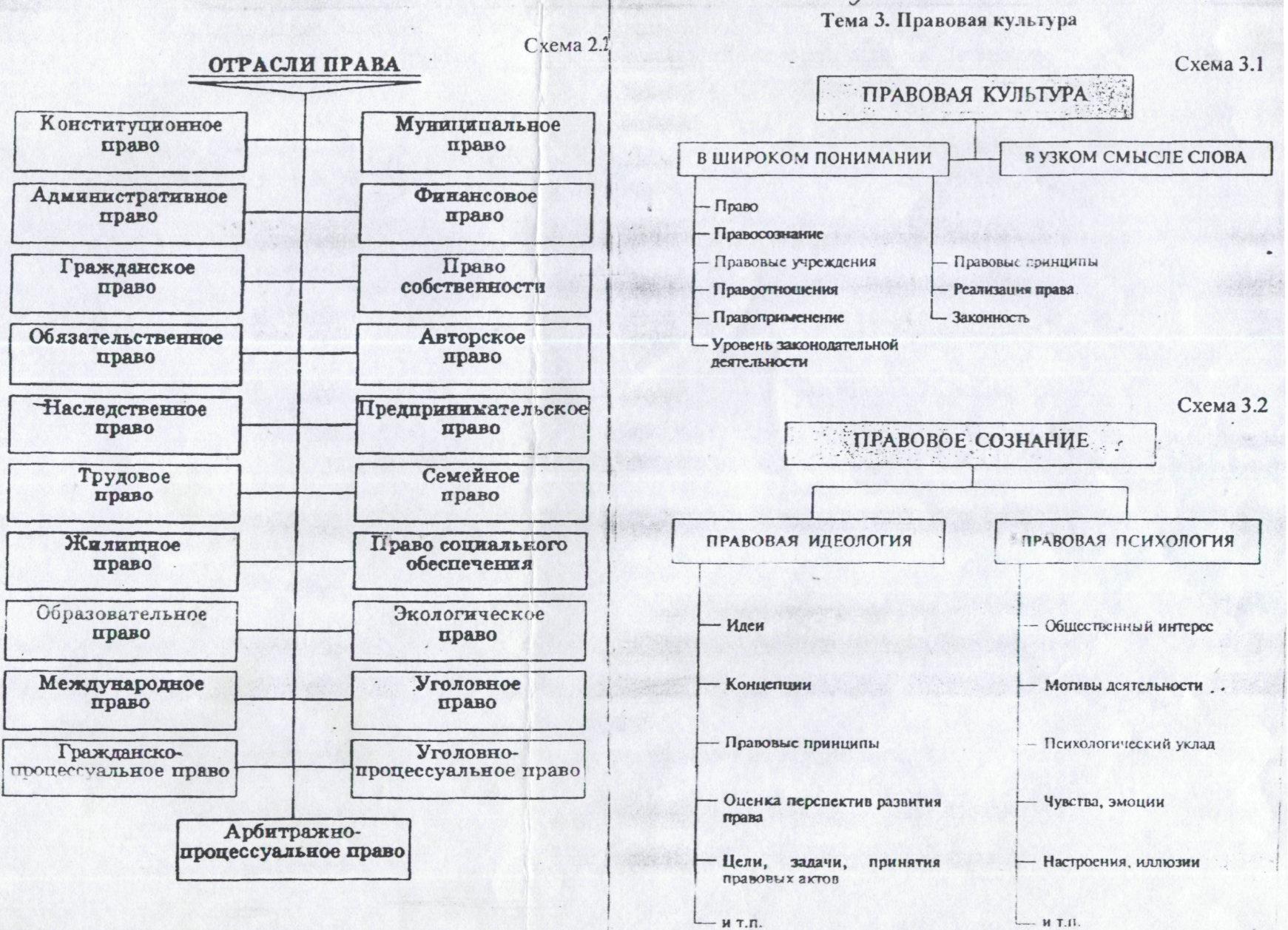 Выявление сущности права, структуры системы права, нормы права.  Практическая работа по учебному предмету Человек и общество для студентов  СУЗа.