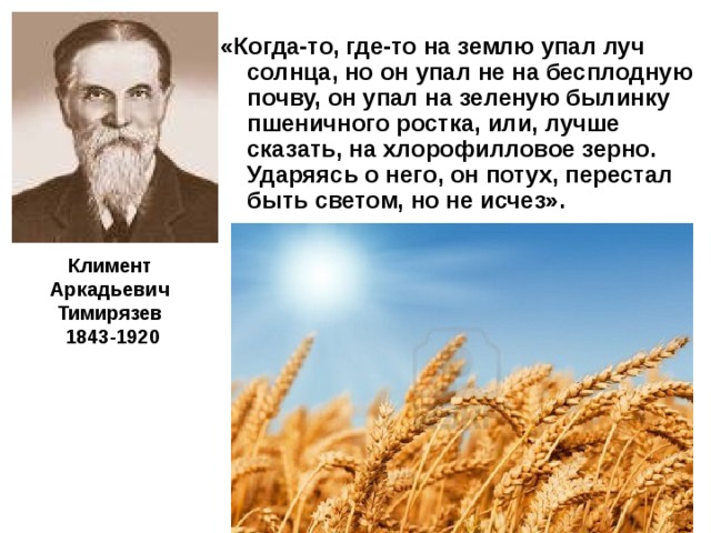  «Когда-то, где-то на землю упал луч солнца, но он упал не на бесплодную почву, он упал на зеленую былинку пшеничного ростка, или, лучше сказать, на хлорофилловое зерно. Ударяясь о него, он потух, перестал быть светом, но не исчез». Климент Аркадьевич  Тимирязев  1843-1920 