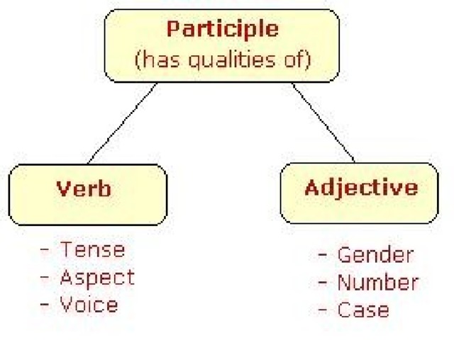 Past participle adjectives. Партисипл. Present participle. Participle 1 и participle 2. Have object past participle.