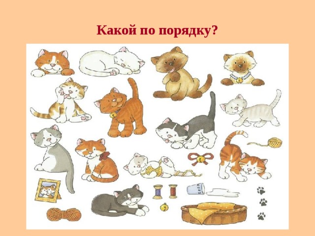 С котиками для детей