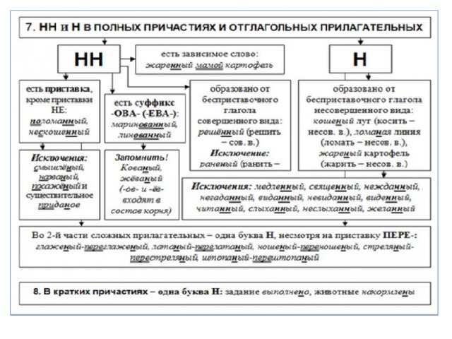 Н и нн в разных частях речи схема