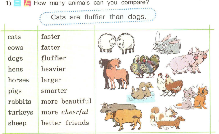 Animals comparative superlative