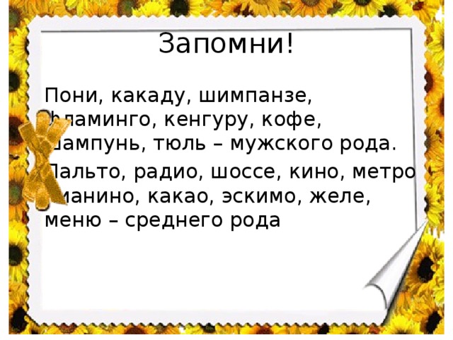 Существительные мужского рода кенгуру. Шимпанзе какой род. Кенгуру какой род. Род существительных шимпанзе.