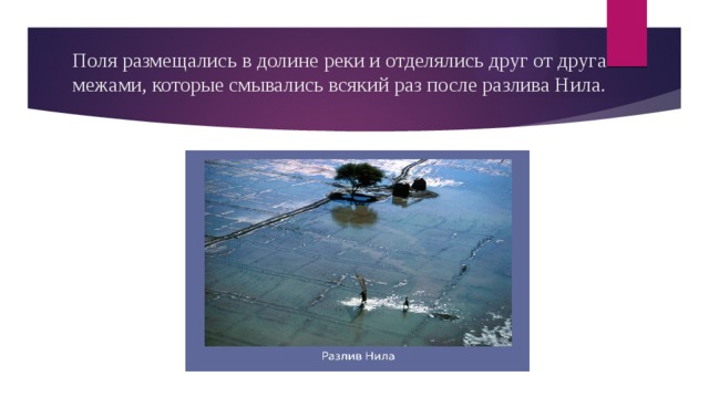 Поля размещались в долине реки и отделялись друг от друга межами, которые смывались всякий раз после разлива Нила. 