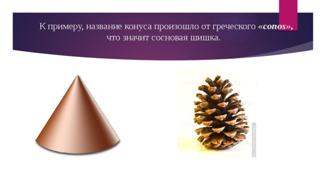 К примеру, название конуса произошло от греческого «conos» , что значит сосновая шишка. 