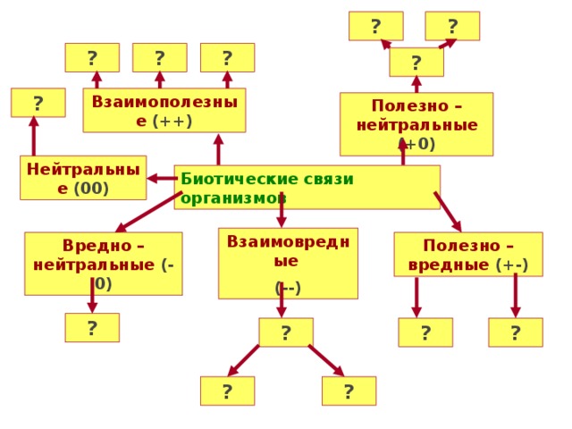 Биотические отношения организмов