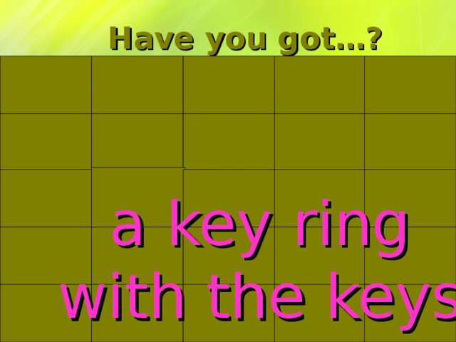 Have you got…?  a key ring  with the keys