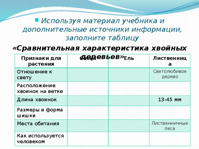 Отношения к почве ель сосна лиственница таблица