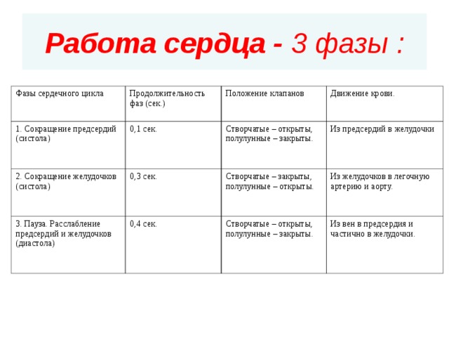 Последовательность сокращения предсердий и желудочков