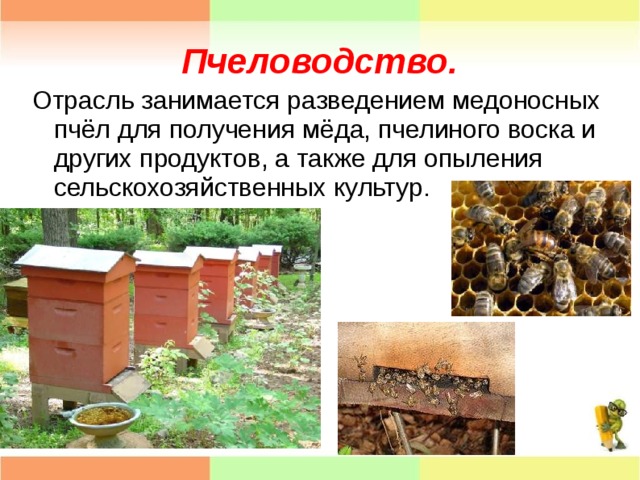 Проект окружающий мир 4 класс про пчел Презентация "Животноводство" - Окружающий мир - Презентации - 4 класс