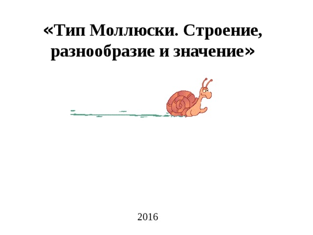 « Тип Моллюски. Строение, разнообразие и значение »   2016 