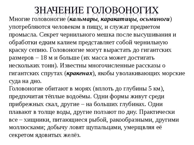Многие головоногие ( кальмары , каракатицы , осьминоги ) употребляются человеком в пищу, и служат предметом промысла. Секрет чернильного мешка после высушивания и обработки едким калием представляет собой чернильную краску сепию. Головоногие могут вырастать до гигантcких размеров – 18 м и больше (их масса может достигать нескольких тонн). Известны многочисленные рассказы о гигантских спрутах ( кракенах ), якобы уволакивающих морские суда на дно. Головоногие обитают в морях (вплоть до глубины 5 км), предпочитая тёплые водоёмы. Одни формы живут среди прибрежных скал, другие – на больших глубинах. Одни плавают в толще воды, другие ползают по дну. Практически все – хищники, питающиеся рыбой, ракообразными, другими моллюсками; добычу ловят щупальцами, умерщвляя её секретом ядовитых желёз. 