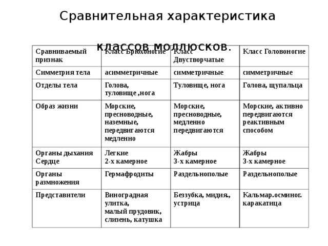 Моллюски тип кровеносной системы таблица. Моллюски система органов 7 класс. Отделы тела класс брюхоногие двустворчатые головоногие. Тип моллюски 7 класс пищеварительная система. Двустворчатые моллюски пищеварительная система таблица.