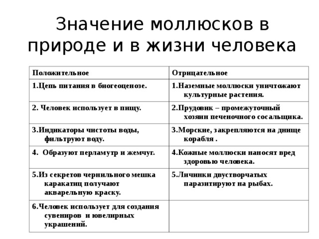 Значение ракообразных в жизни человека. Значение моллюсков в природе и жизни человека 7 класс биология. Практическое значение моллюсков таблица. Тип моллюски значение в природе и жизни человека. Значение моллюсков в природе и жизни человека кратко 7 класс.