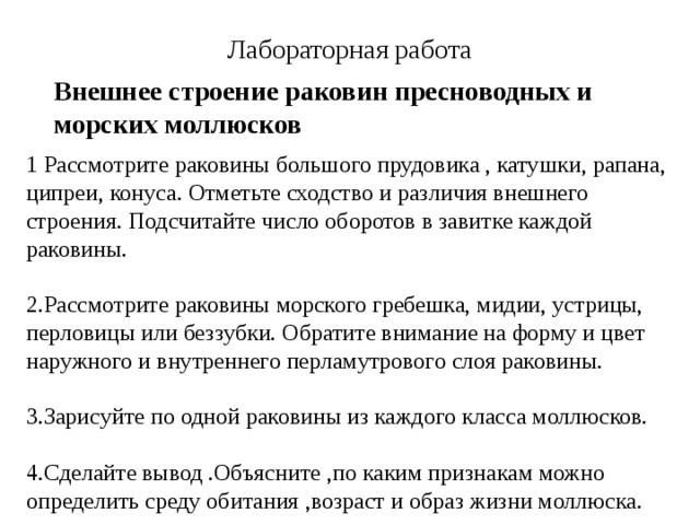 Сделайте вывод об основных различиях в строении раковины беззубки и перловицы