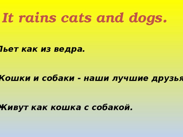 6. It rains cats and dogs .  Льет как из ведра.   (b) Кошки и собаки - наши лучшие друзья.   (c) Живут как кошка с собакой. 