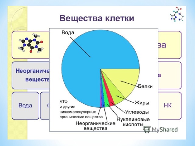 На диаграмме показано процентное содержание некоторых химических элементов в клетке