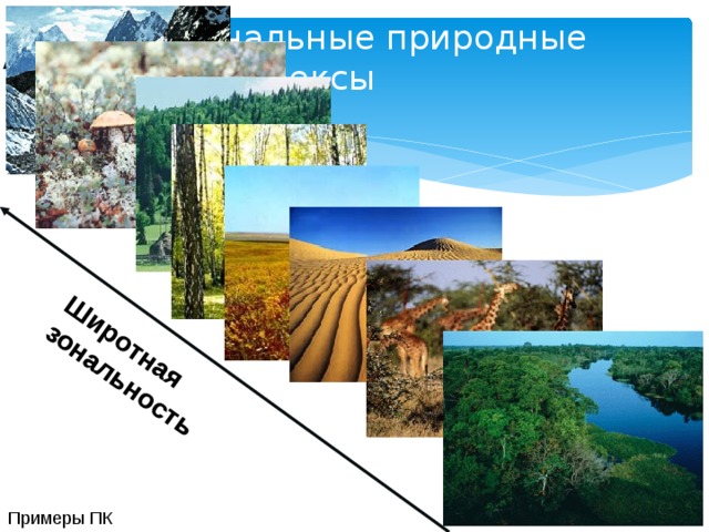 Природные комплексы смешанных. Зональные природные комплексы. Зональность природных комплексов. Широтная зональность природных комплексов. Зональные элементы природных комплексов.