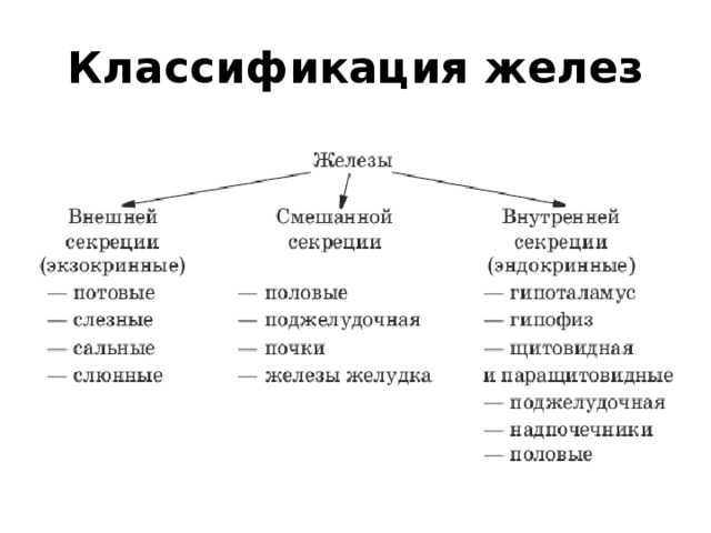 Внутренние типы. Классификация желез организма человека схема. Схематическая классификация желез внутренней секреции. Классификация желез внутренней секреции их общая характеристика. Классификация желез внутренней секреции схема.