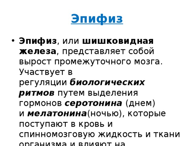 Функции эпифиза. Эпифиз гормоны и функции. Гормоны эпифиза и их функции. Эпифиз гормоны и функции таблица. Шишковидная железа и серотонин.