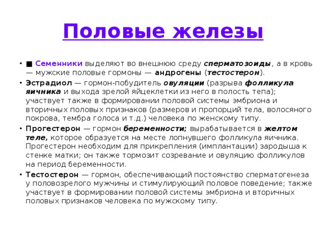 Половы железы. Семенники выделяют во внешнюю среду. Половые железы функции. Половые железы функции кратко. Функции половых желез кратко.