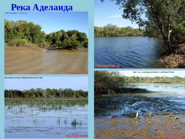 Презентация климат австралии внутренние воды 7 класс