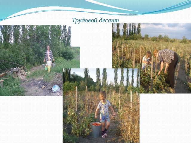 Трудовой десант 