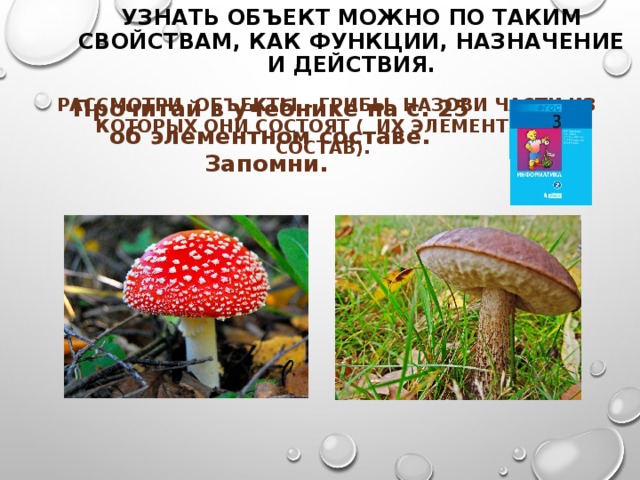 Узнать объект можно по таким свойствам, как функции, назначение и действия.  Прочитай в учебнике на с. 25 об элементном составе. Запомни.  Рассмотри объекты – грибы. Назови части из которых они состоят ( их элементный состав). 