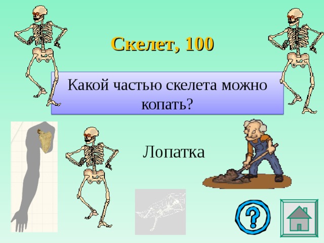 Скелет , 100 Какой частью скелета можно копать? Лопатка 