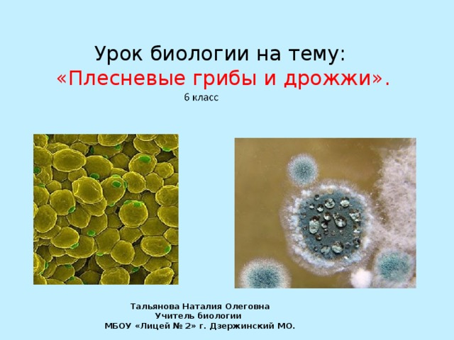  Урок биологии на тему:  «Плесневые грибы и дрожжи».   Тальянова Наталия Олеговна Учитель биологии МБОУ «Лицей № 2» г. Дзержинский МО. 