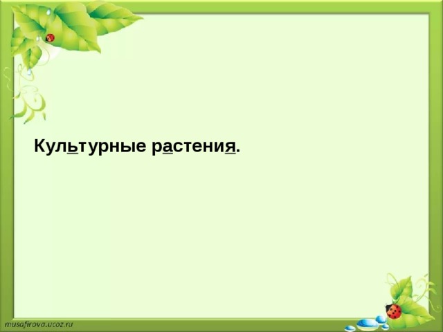 Практическое занятие по проектированию структуры индивидуального проекта - презе