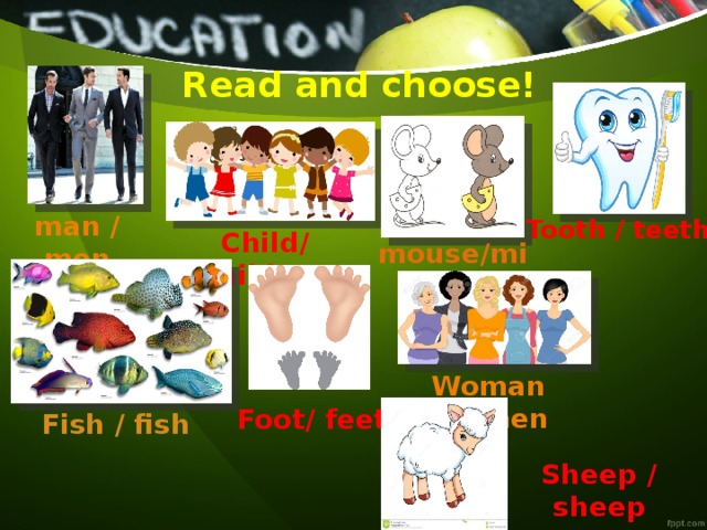  Read and choose! man / men Tooth / teeth Child/ children mouse/mice Woman /women Foot/ feet Fish / fish Sheep / sheep 