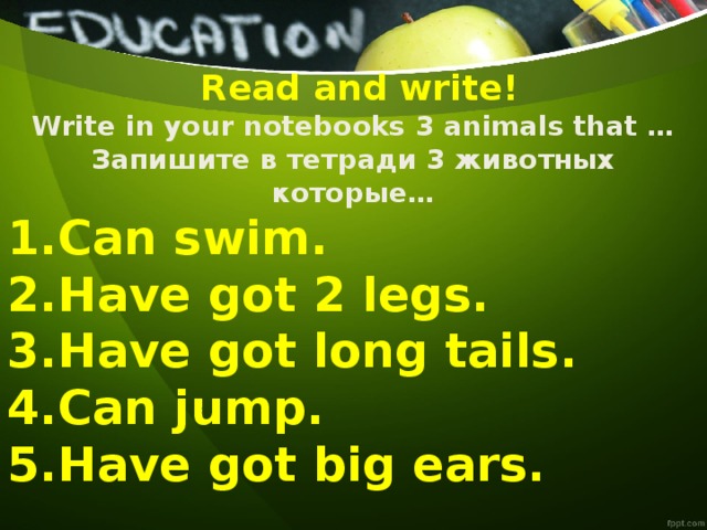  Read and write! Write in your notebooks 3 animals that … Запишите в тетради 3 животных которые… Can swim. Have got 2 legs. Have got long tails. Can jump. Have got big ears.  