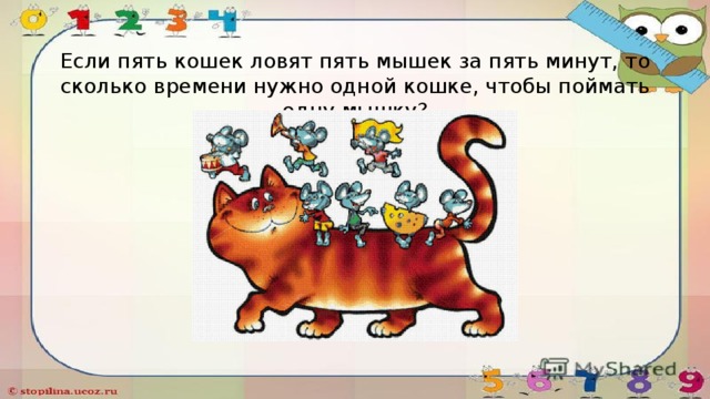 Сколько секунд надо собаке чтобы догнать кошку. Задачки про кошек. Задачи с котами. Задача про кошек. Задача на логику с кошками.