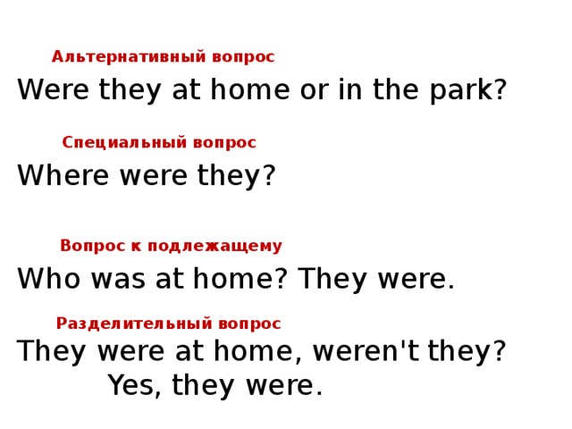     Альтернативный вопрос Were they at home or in the park?     Специальный вопрос Where were they?      Вопрос к подлежащему Who was at home? They were.       Разделительный вопрос They were at home, weren't they? Yes, they were.     