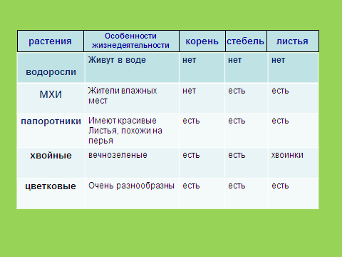 Установите соответствия особенности жизнедеятельности