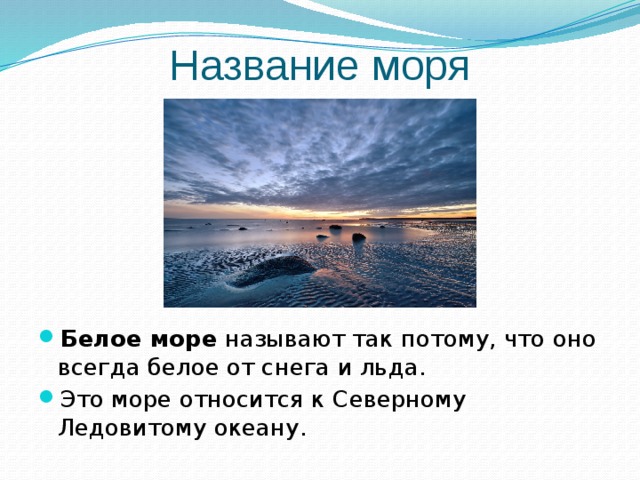 Полезные свойства белого моря