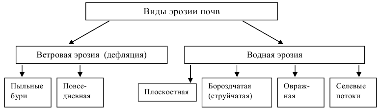 Виды эрозии схема