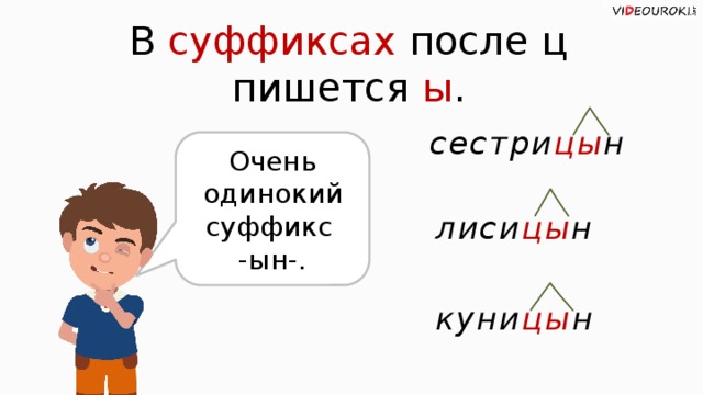 В суффиксах после ц пишется ы . сестри цы н Очень одинокий суффикс -ын-. лиси цы н куни цы н