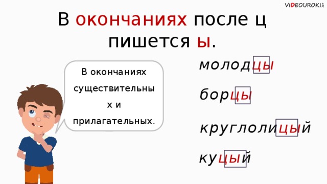 В окончаниях после ц пишется ы . молод цы В окончаниях существительных и прилагательных. бор цы круглоли цы й ку цы й